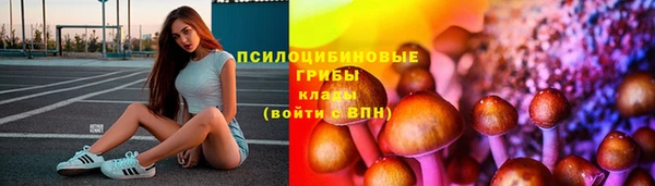 спайс Каменка