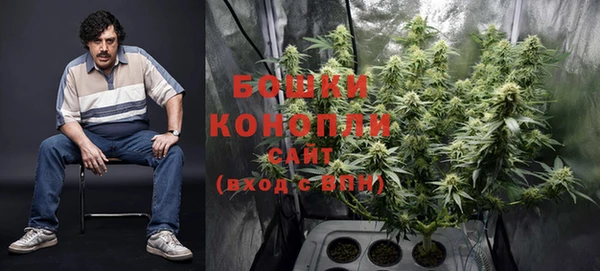 спайс Каменка