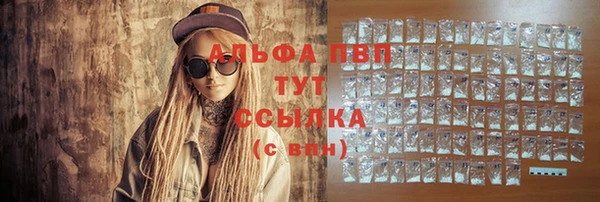 спайс Каменка