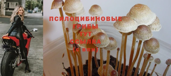 Альфа ПВП Каменск-Шахтинский