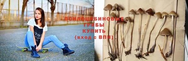 круглые Каменногорск