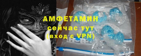 спайс Каменка