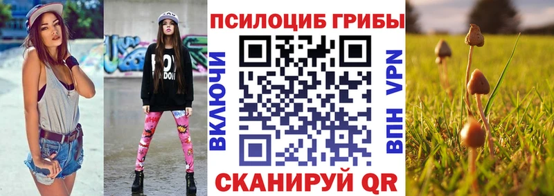 Купить где  Гдов  Галлюциногенные грибы Magic Shrooms 